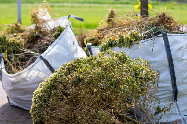 Best Furniture Removal Near Me  in Elmont, NY